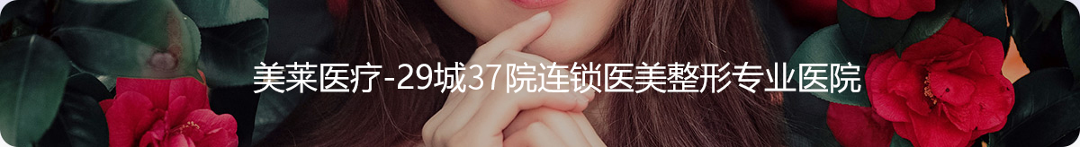 美萊玻尿酸項(xiàng)目