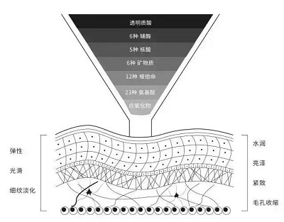 <a href='/fz/' target='_blank'><u>福州美萊</u></a>國(guó)際微整節(jié)