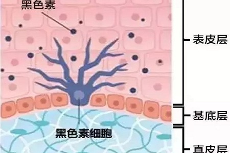 祛斑偏方“害死人”，小仙女們可長(zhǎng)點(diǎn)心吧！