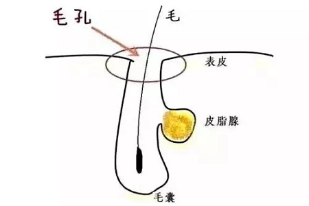 如何在炎熱的夏天，做清爽白凈的小姐姐？
