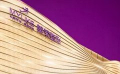 2024年衡陽市做眼袋手術(shù)醫(yī)院排行榜，哪家整形醫(yī)院更有實(shí)力？